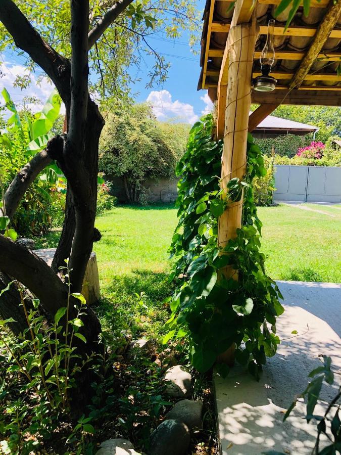 ,,Anna'S" Guesthouse K'vemo Alvani Екстериор снимка