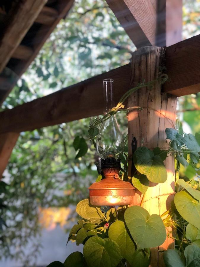 ,,Anna'S" Guesthouse K'vemo Alvani Екстериор снимка