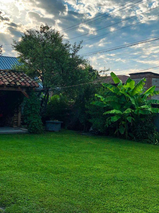 ,,Anna'S" Guesthouse K'vemo Alvani Екстериор снимка